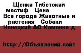  Щенки Тибетский мастиф › Цена ­ 50 000 - Все города Животные и растения » Собаки   . Ненецкий АО,Каменка д.